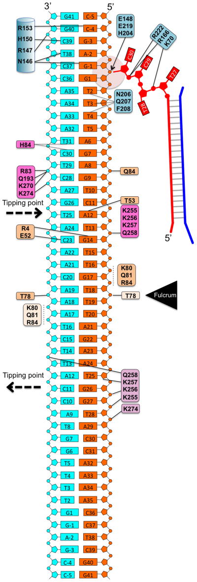 Extended Data Figure 4