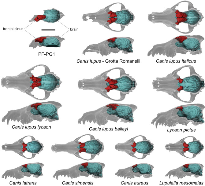 Figure 6