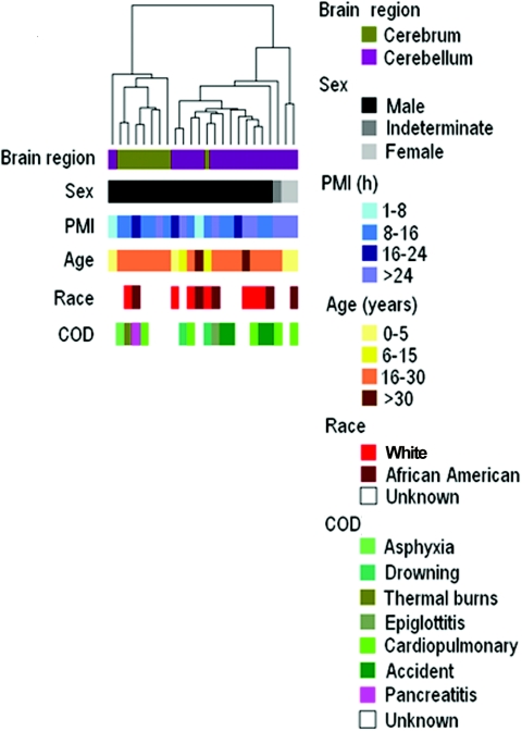 Figure  2. 