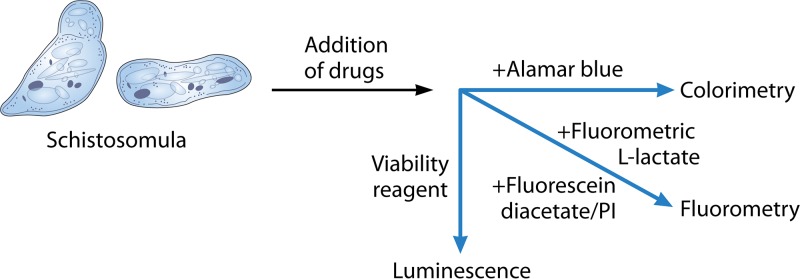 FIG 5