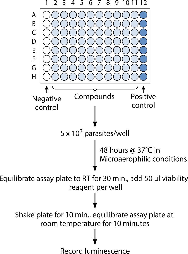 FIG 4