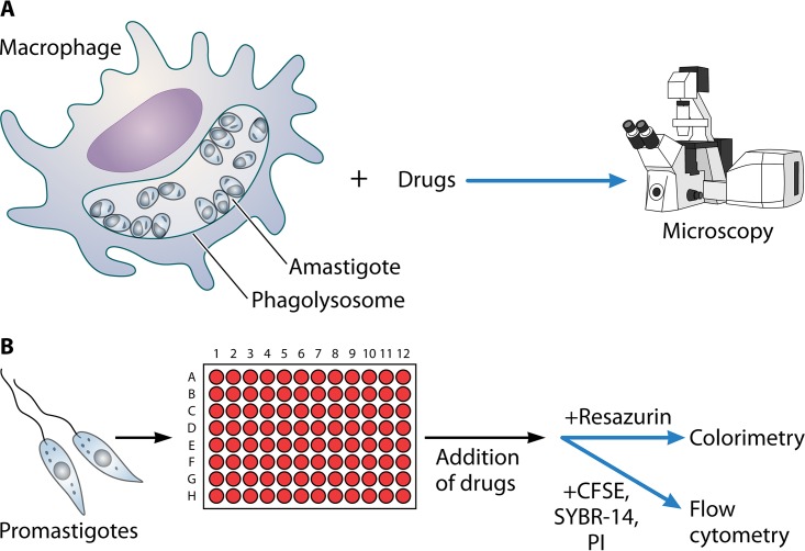 FIG 2