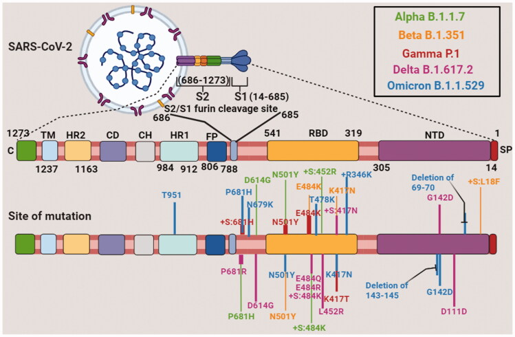 Figure 2.