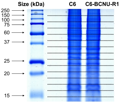 Fig. (4)