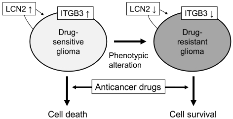 Fig. (5)