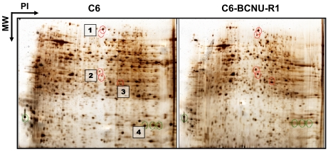 Fig. (3)