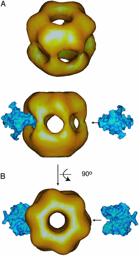 Fig. 4.