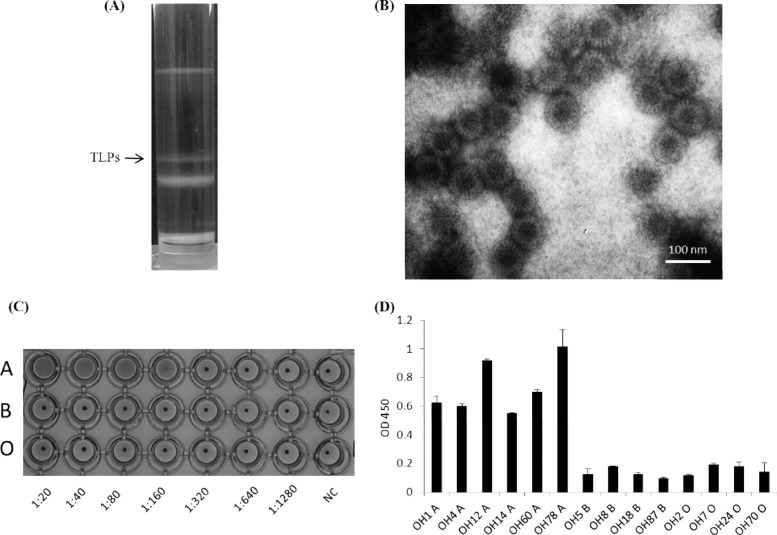 Fig 8