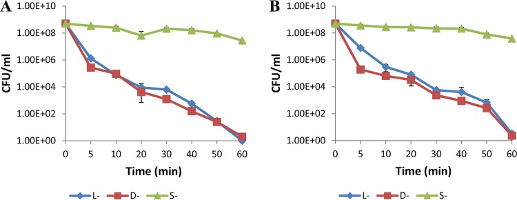 FIG 1