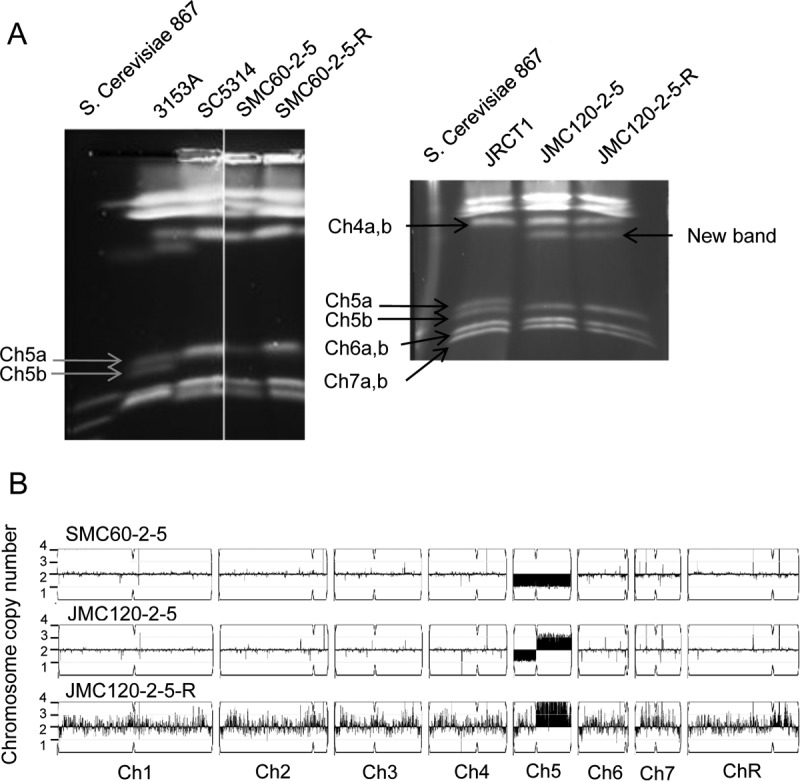 FIG 3