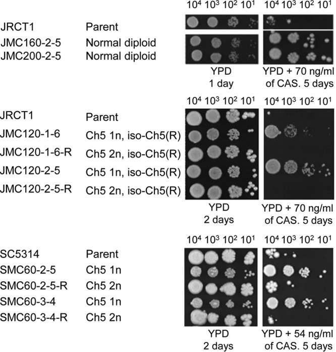 FIG 4