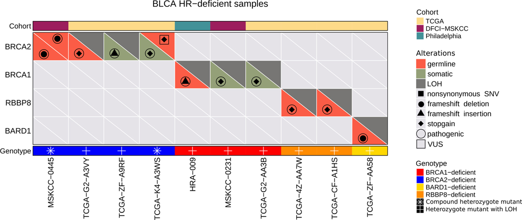 Figure 1: