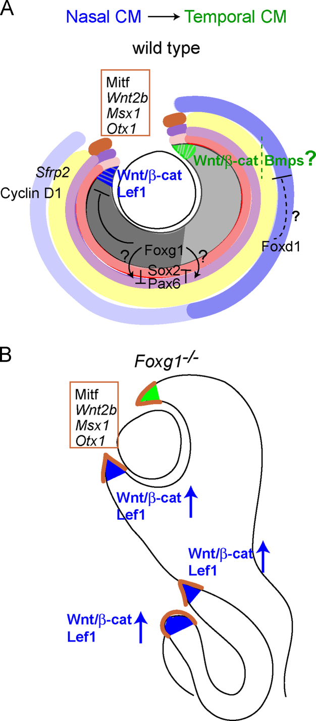 Fig. 9