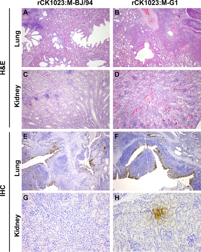 FIG 6