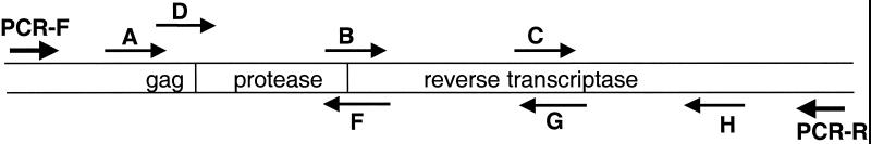 FIG. 1