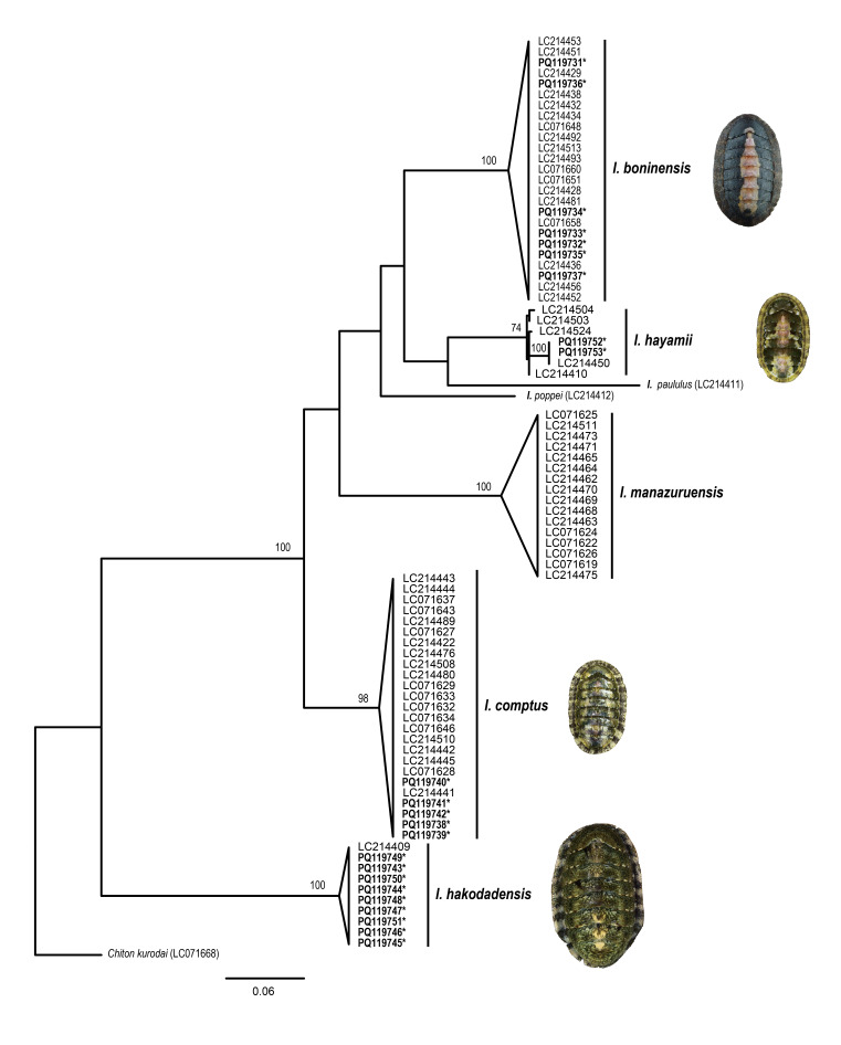 Figure 9.