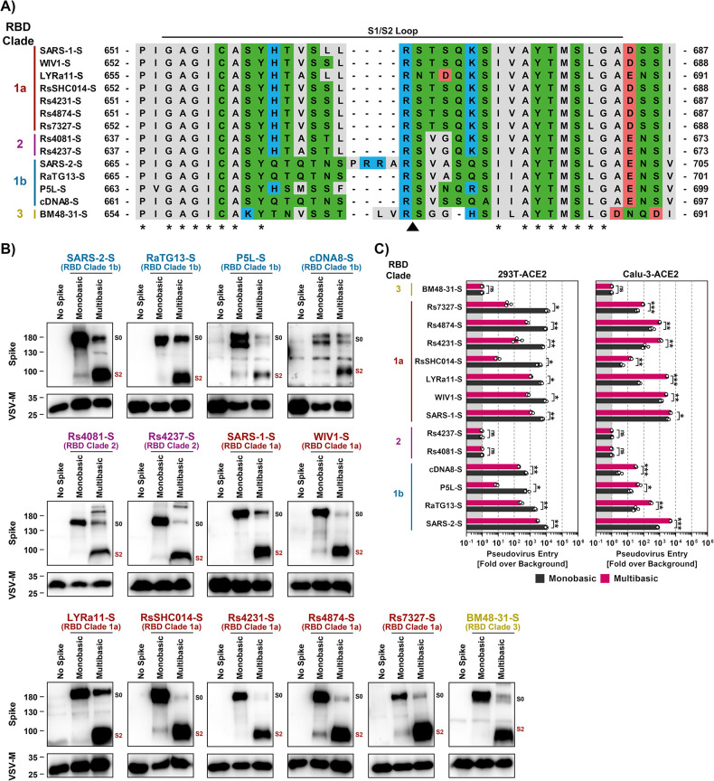 Fig 6