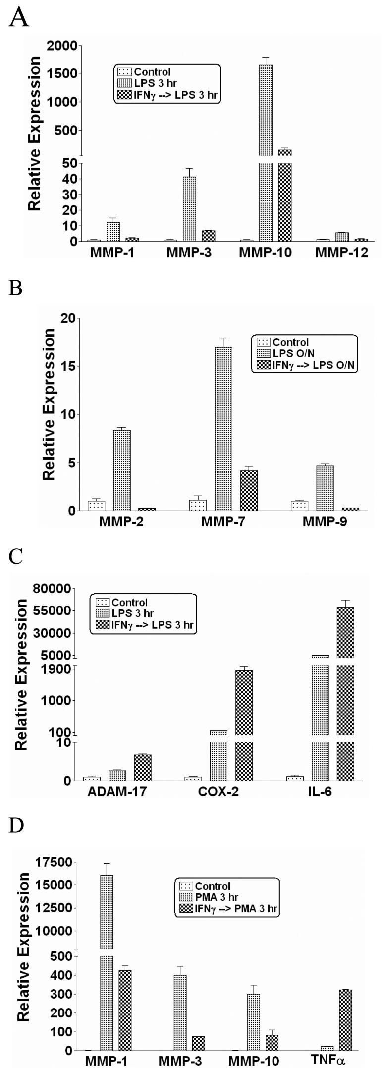 FIGURE 1