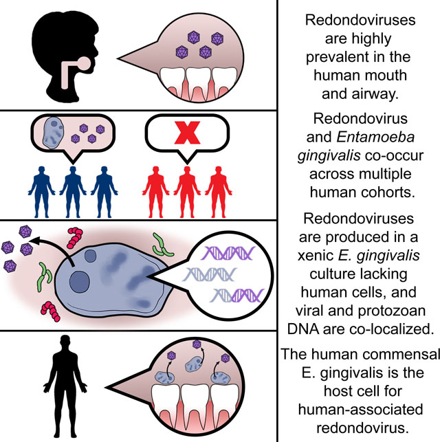 graphic file with name nihms-1850835-f0006.jpg