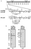 FIG. 1