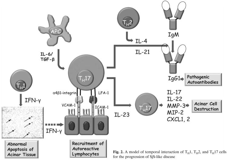 Fig. 2