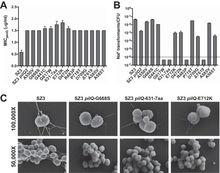 FIG 2