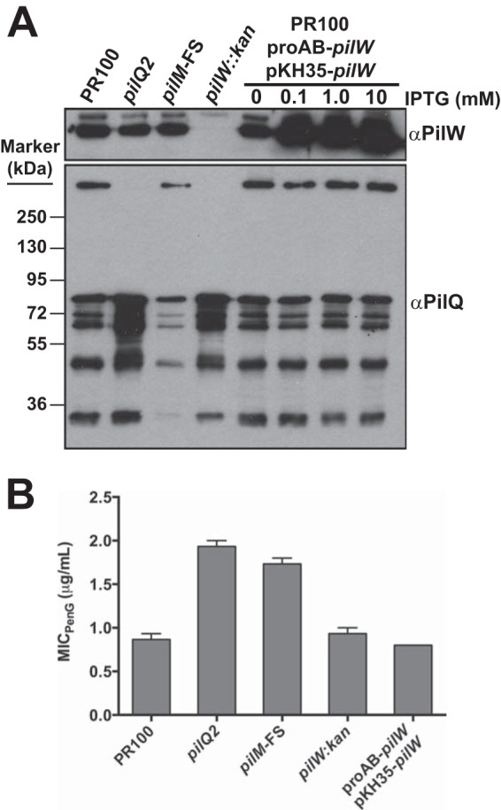 FIG 10