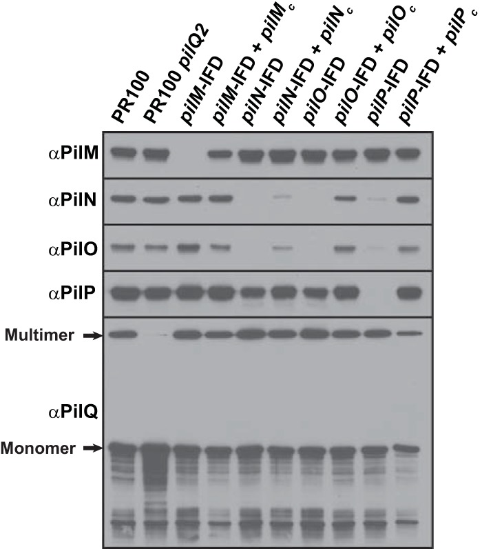 FIG 5