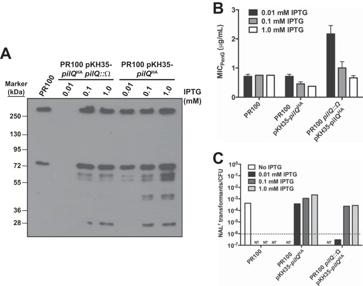 FIG 6