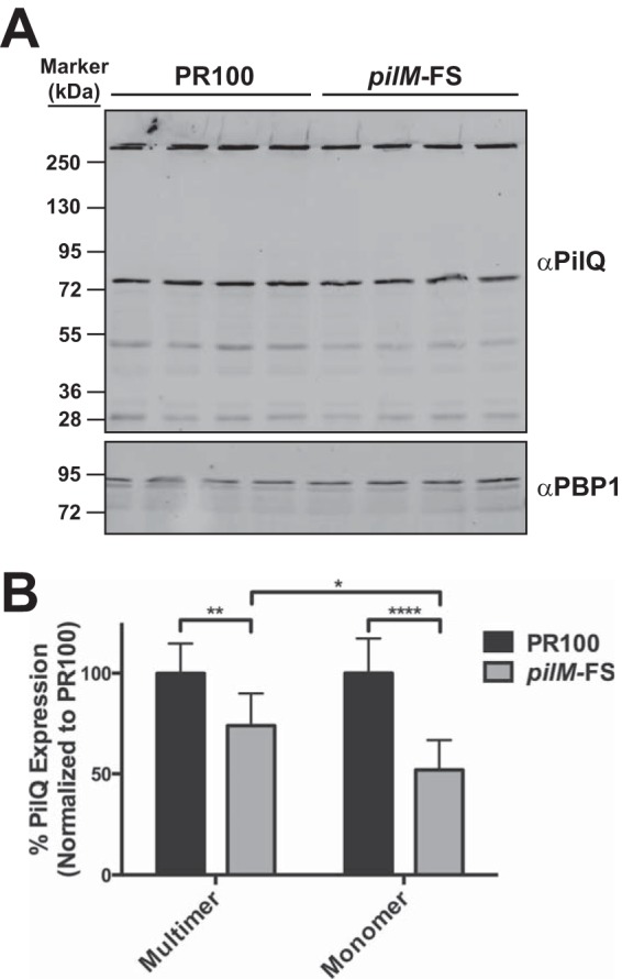 FIG 7