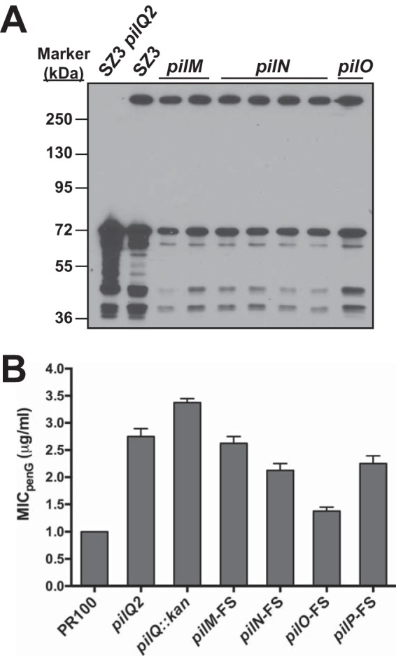 FIG 3