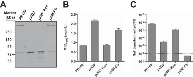 FIG 9