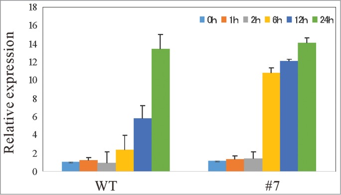 Figure 5.