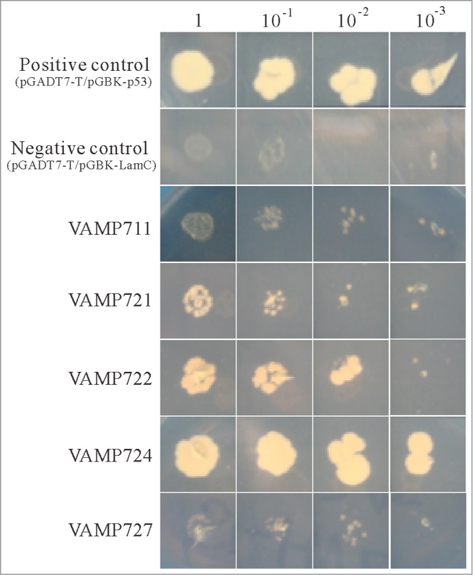 Figure 3.