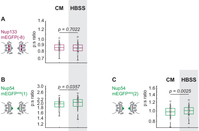 Figure 4—figure supplement 2.