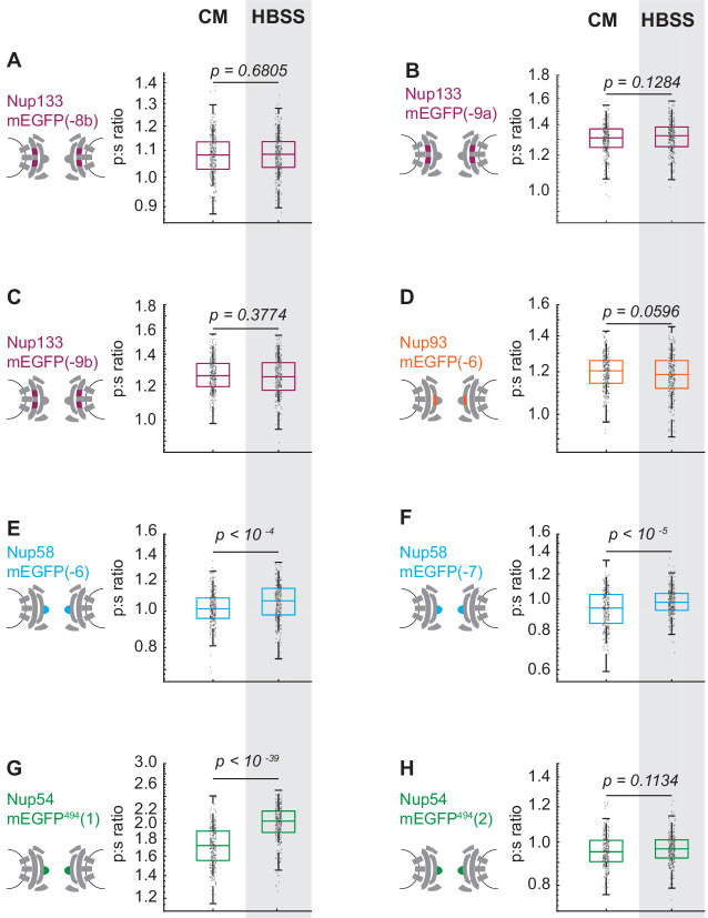 Figure 3—figure supplement 2.