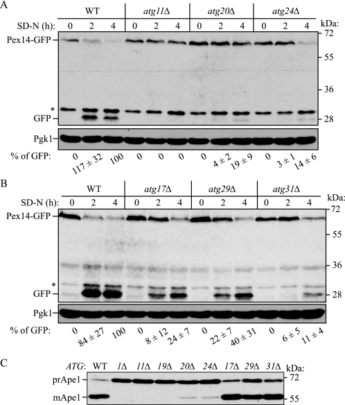 FIGURE 6.