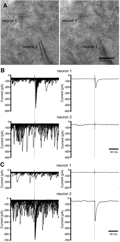 FIG. 6.