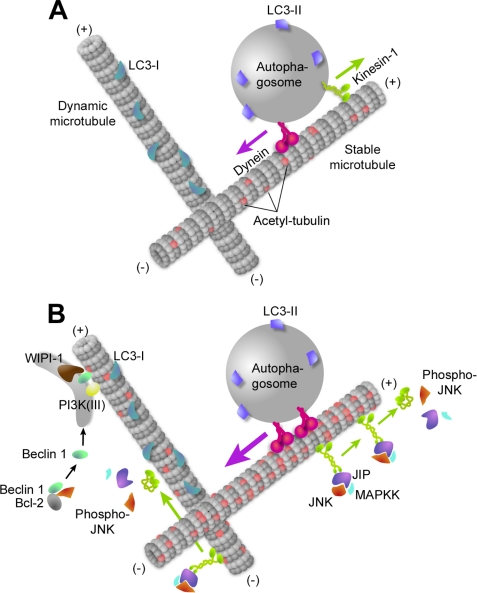 FIGURE 7.