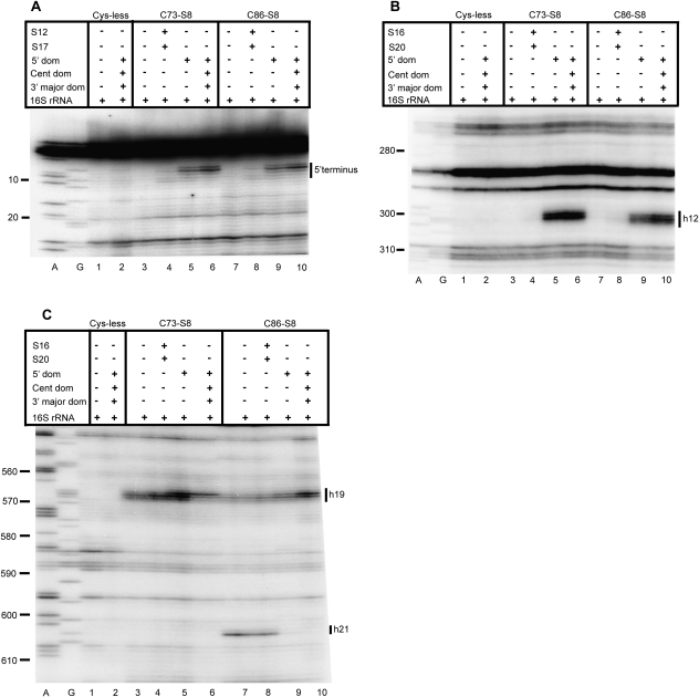 FIGURE 4.