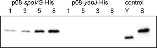 Fig. 5.