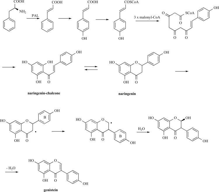 Fig. (1)