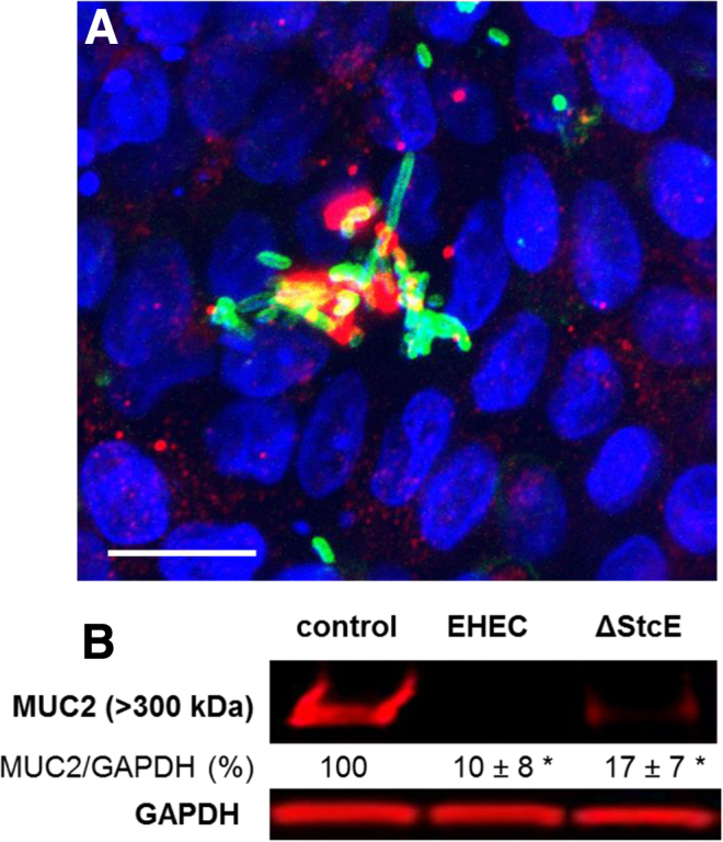 Figure 4