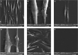 Figure 6