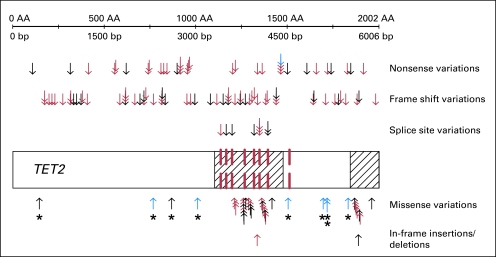 Fig 1.