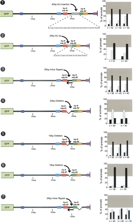 FIGURE 10.