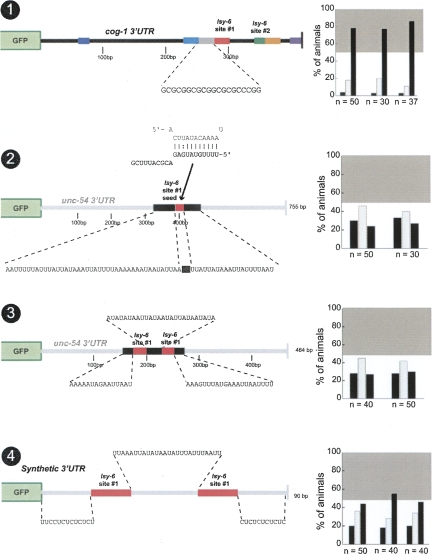 FIGURE 12.