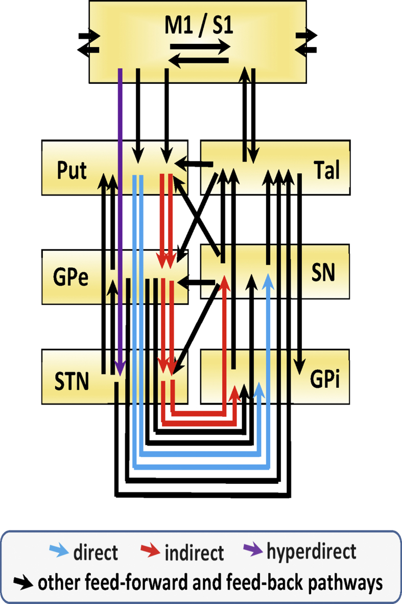 supplementary Fig. 2