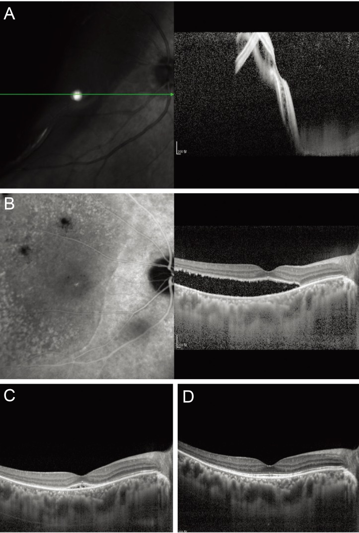 Fig. 3