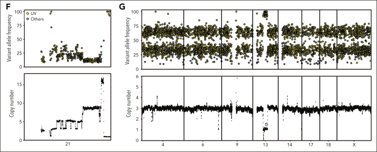 Figure 4.